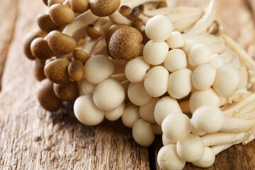 Raw Organic bunch of white and brown edible beech mushrooms or Shimeji closeup on wooden table. Horizontal