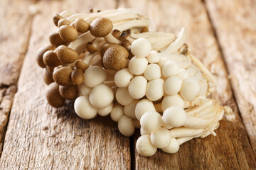 bunch of white and brown edible beech mushrooms or Shimeji or buna and bunapi closeup on wooden table. Horizontal - obrazy, fototapety, plakaty