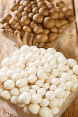 Fresh beech mushrooms or Shimeji or buna and bunapi in plastic container closeup on wooden table. Vertical