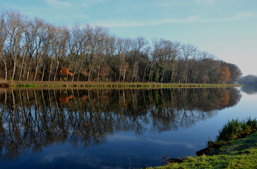 Fototapeta premium floodplain landscape where it is best on boat or inflatable boat. you can fish and enjoy spectacular floodplain forests even in autumn. green boat leaning against a tree is waiting for a fishing catch