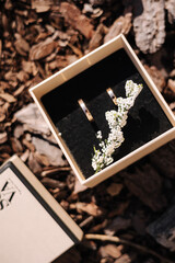 Two golden wedding rings on decorative sawdust near a conifer branch. Macro photo