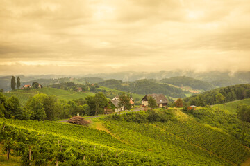 Fototapeta na wymiar Scenery vineyard along the south Styrian vine route named Suedsteirische Weinstrasse in Austria at sunset, Europe.