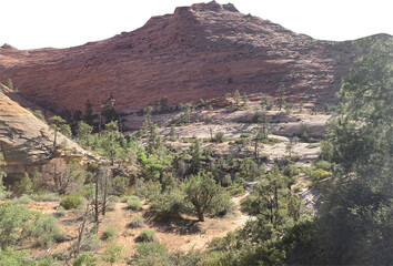 Isolated PNG cutout of a red canyon - Zion National Park on a transparent background