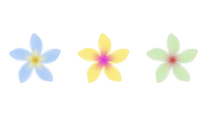 Fototapeta na wymiar Jasmin flower vector objects in multiple colors.