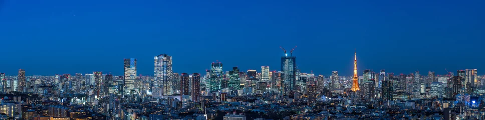 Foto op Aluminium Panoramisch zicht op Groot-Tokyo op Magic Hour. © hit1912