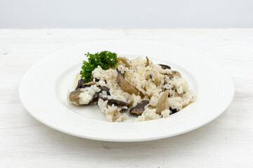 Plate of mushroom risotto, garnished with Oyster mushrooms Pleurotus ostreatus .