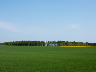Vast spring meadows and forests