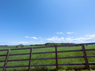 Blue sky and fresh green pasture