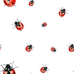 Ladybug red nature pattern a watercolor sketch 