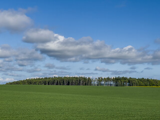 Spring meadow hills with clouds