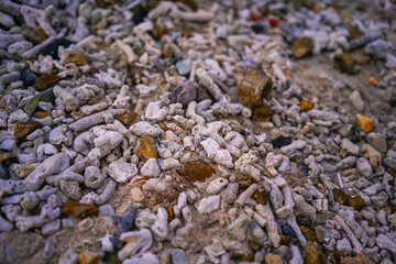 stones on the beach