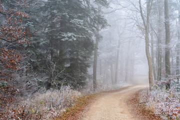 Winter auf dem Dreifaltigkeitsberg Spaichingen