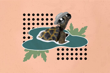 Creative collage picture of sea turtle inside drawing pond water wear sunglass headwear isolated on...