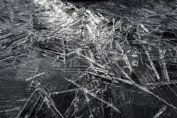 A crystal ice shell on the surface of a forest stream