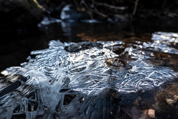 A crystal ice shell on the surface of a forest stream