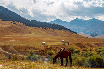 horse against the backdrop of mountains and yurts, steppe autumn Лошадь на фоне гор...