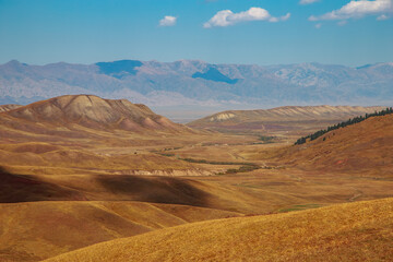 golden wheat color field with mountains and clouds, autumn