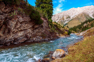 mountain river stretching into the distance, top view, forest, blue water