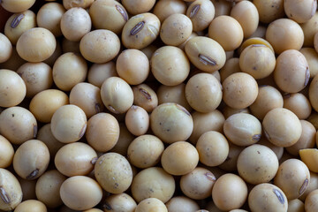close up of a lot of soybeans