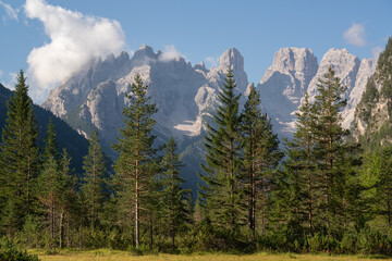 Sharp mountain peaks against the blue morning sky. Green firs in the foreground. Walking in the fresh air brings joy. The greatness of nature. Tourist routes