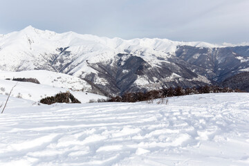 View of a snowshoes trail