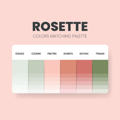 Color palette in a Rose colour themed collections. Colors chart template. Color combination set of RGB codes. Color swatch for art, fashion, home design, or web design. Vector