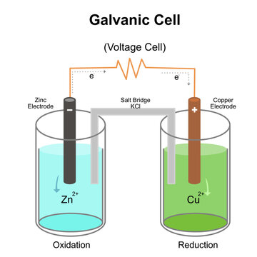 chemical element of the table Galvanic cell chemistry education cathode anode 