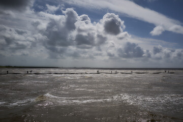 Fototapeta premium Wadden sea