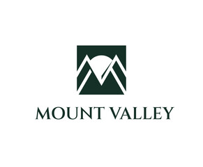 Simple Letter Shape MV Business Logo design Template