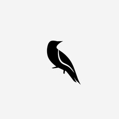 Vector illustration of an bird