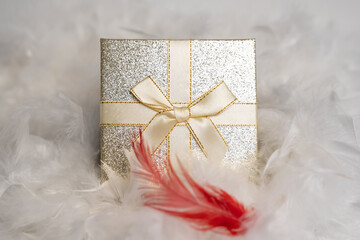 petite boite cadeau dorée dans un décor de plumes blanche et rouge