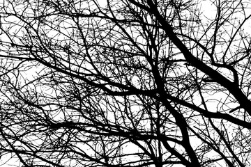 Dash and dot messy on transparent background