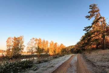 Road among grass and trees in hoarfrost in autumn