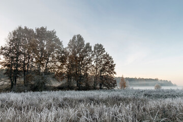 Road among grass and trees in hoarfrost in autumn