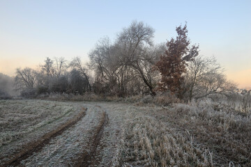 Road among grass and trees in hoarfrost in autumn