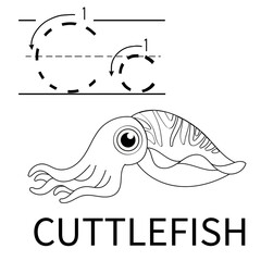 Cute Sea Animal Alphabet Series. C is for cuttlefish. Vector cartoon character design illustration.