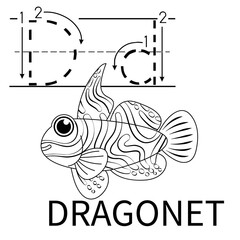 Cute Sea Animal Alphabet Series. D is for dragonet. Vector cartoon character design illustration.