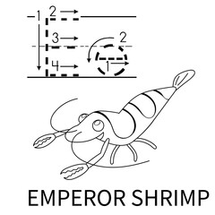 Cute Sea Animal Alphabet Series. E is for emperor shrimp. Vector cartoon character design illustration.