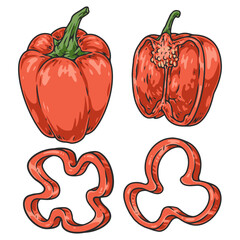 Raw paprika colorful set elements