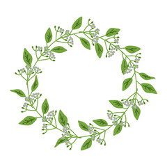 Fototapeta premium Decorative floral wreath