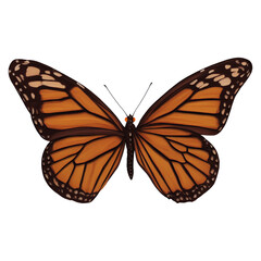 Fototapeta premium Orange Butterfly Insect Variation 3 Digital Art By Winters860 Isolated, Transparent Background 