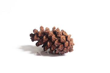 pine cones isolated on white background, christmas object equipment concept