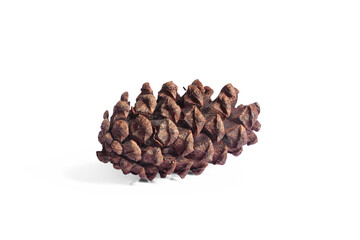 pine cones isolated on white background, christmas object equipment concept