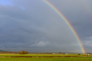 rainbow on dark rain clouds over green fields in a flat landscape