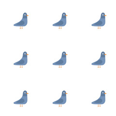 set of birds
