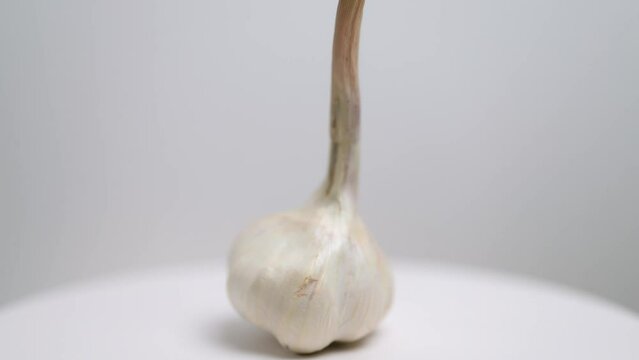 Close up view of young garlic rotate on background. 