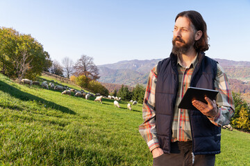 Farmer with tablet on the background of a flock of sheep. Herd management	