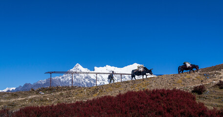landscape of gosainkunda trek, Nepal. 
