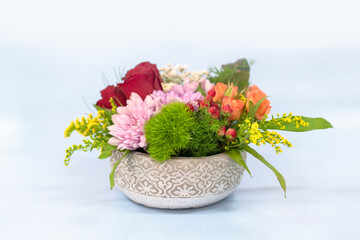 colorful flowers in pots on white background