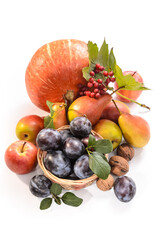 plum in a basket, pumpkin and other fruits